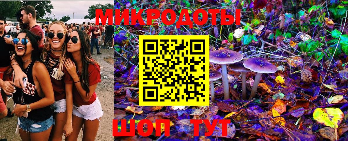 Псилоцибиновые грибы ЛСД Павлово